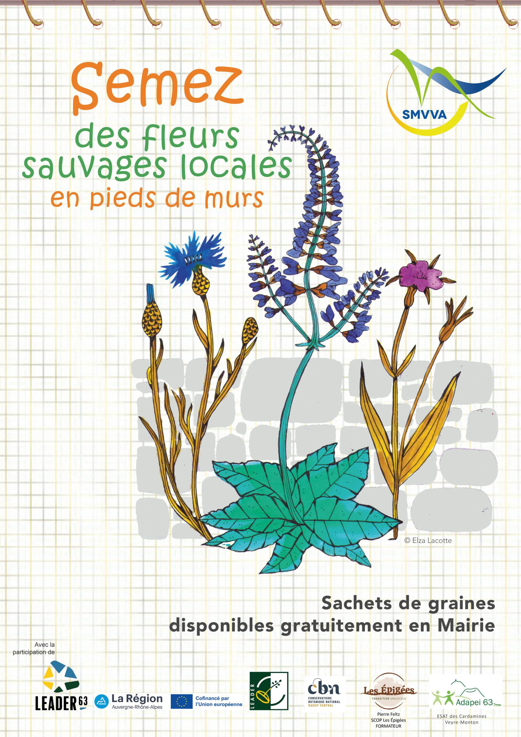 Affiche graines SMVVA 2026