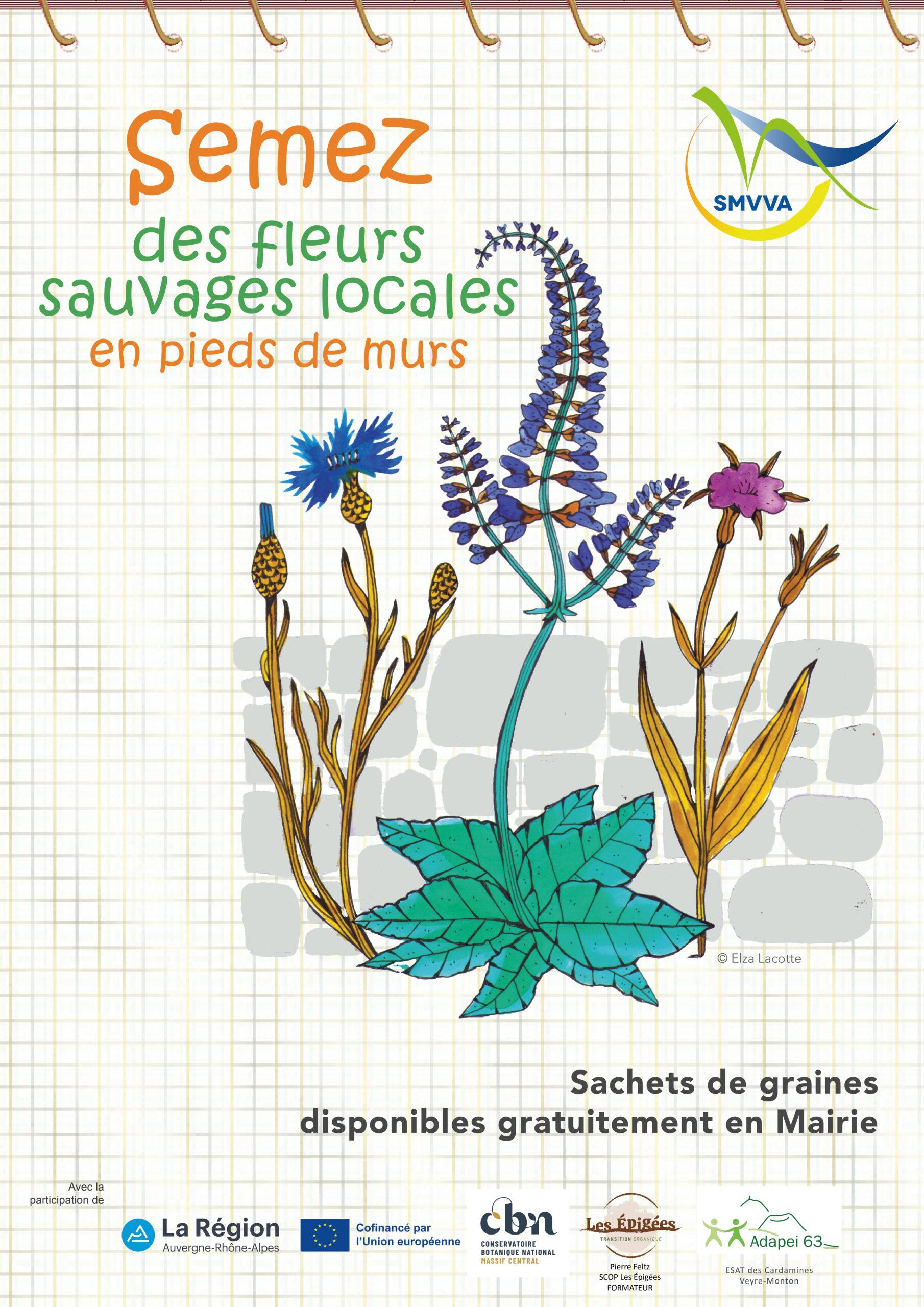 Affiche graines SMVVA 2026