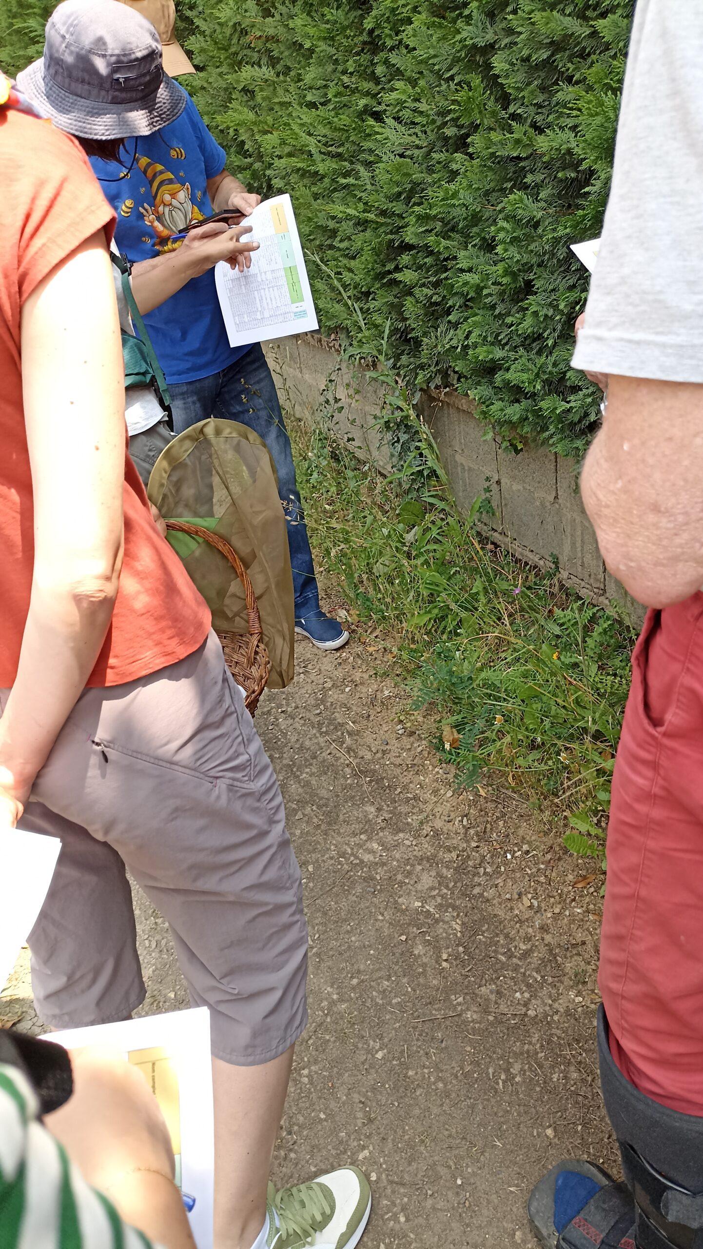 Suivi participatif 2025 aux Martres de Veyre ©SMVVA